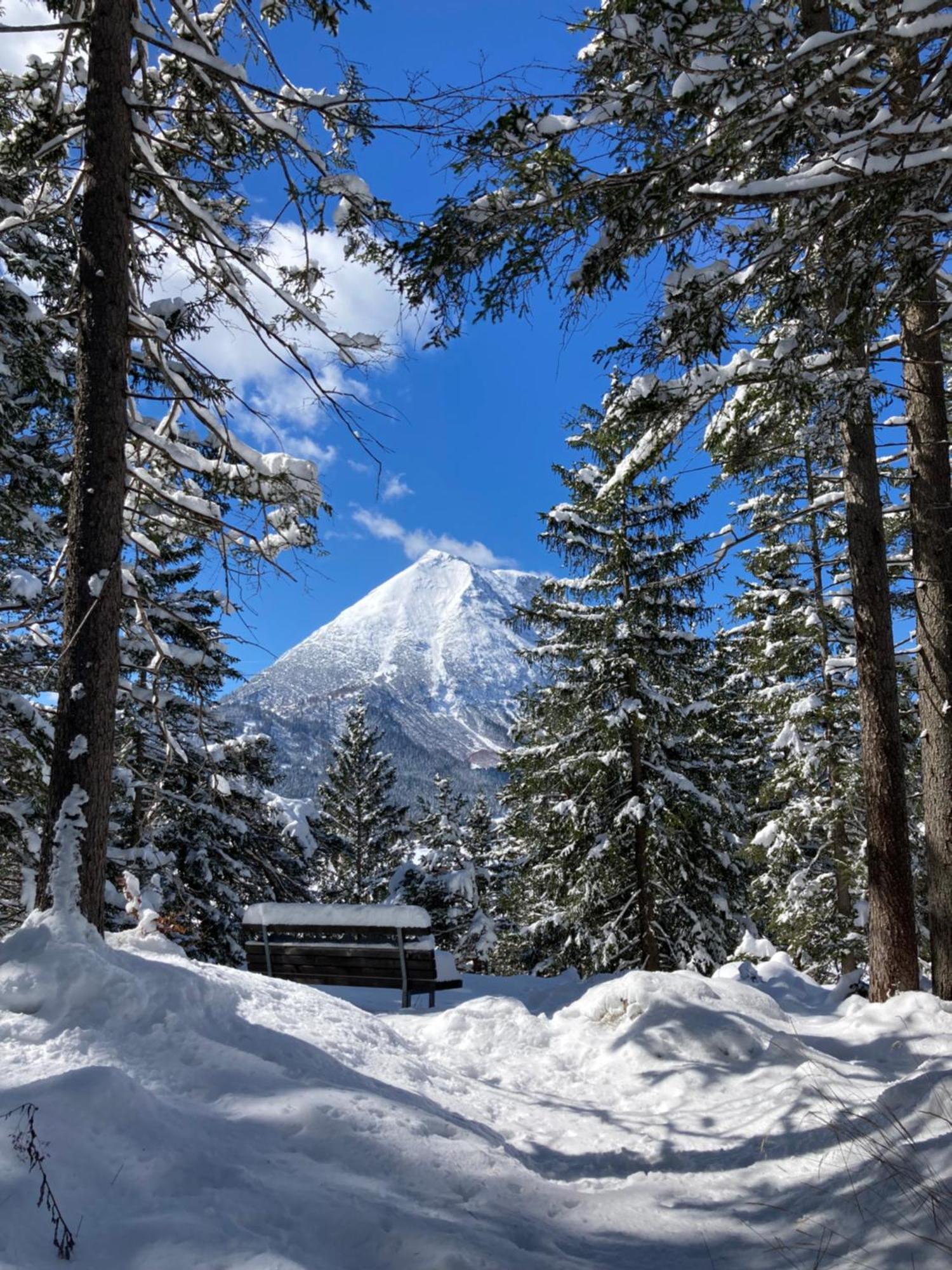 Апартаменты Oefnerhof Лойташ Экстерьер фото